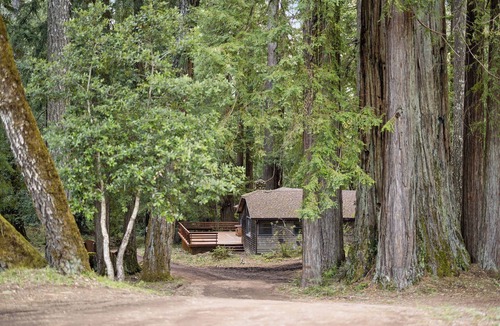 Redwood Valley House | Sequoia House - 3-bedroom house at Leonard Lake Reserve