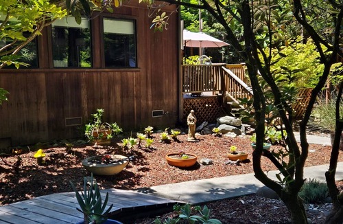 Fort Bragg House | Serenity Grove - A peaceful redwood Hideaway