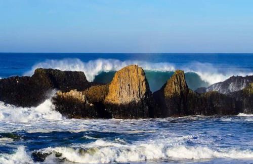 Waldport House | Shorepine - Tiny Tranquility on the Oregon Coast!