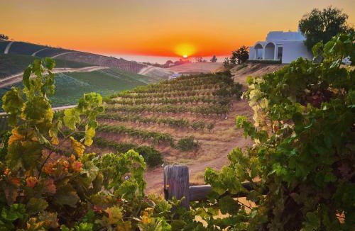 Paso Robles House | Sirena Vineyard Resort - 3 Bedroom guest house
