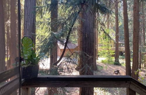 Nevada City Apartment | Soak in the woods near the river