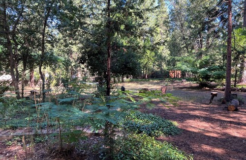 Nevada City Apartment | Soak in the woods near the river