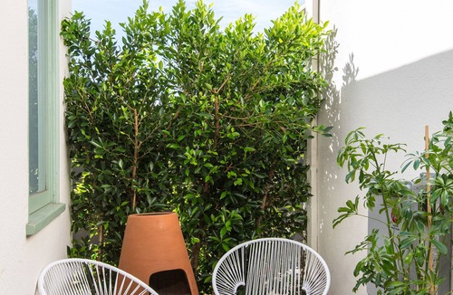 Downtown San Diego Apartment | Sonder The Bungalows | Queen Murphy Studio Apartment w/Terrace