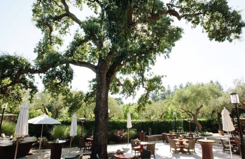 Yountville House | Spa Retreat in Napa Valley! Pet-friendly Accommodation with Free Parking