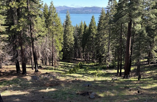 Lake Almanor West Cabin | Spacious 5-bedroom cabin in Almanor West with WiFi