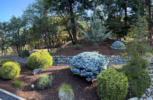 Jacksonville House | Spacious Forest Home, 3 Bedrooms, Mountain Views, 5 Min. to Jacksonville, Pets!