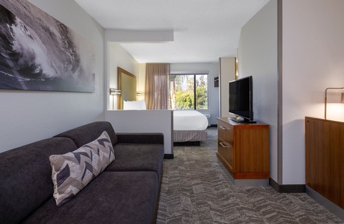 Arcadia Hotel | SpringHill Suites by Marriott Pasadena Arcadia