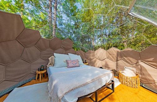 Bass Lake Other | Stargazing Dome with Forrest Cottage on Lakefront Property
