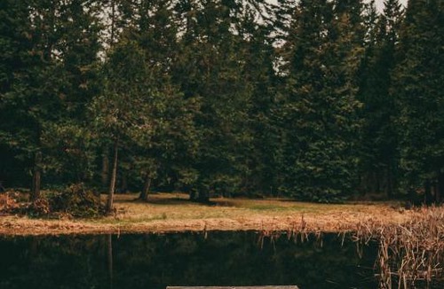 Sunny Valley Other | Starry Skies Campout Bring Your Own Tent No Bed Provided
