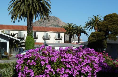 Morro Bay Hotel | Sundown Inn of Morro Bay