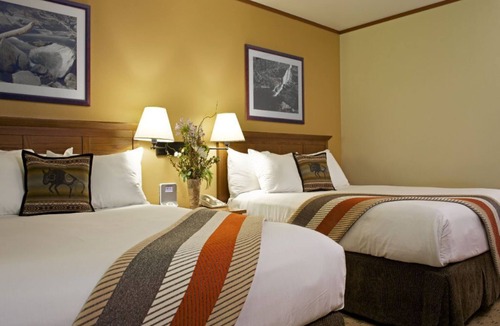Stevenson Hotel | Superior Double Room with Forest Views