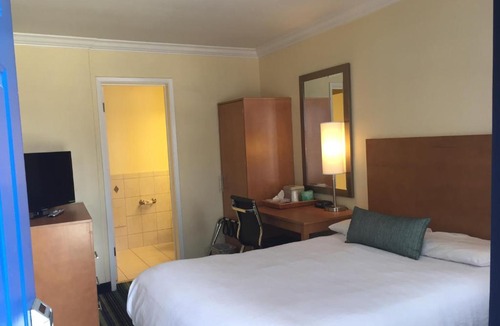 Cow Hollow Hotel | Surf Motel