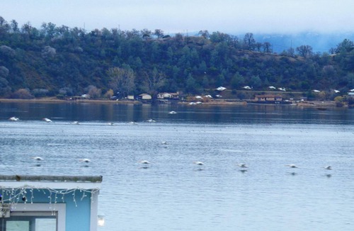 Wilbur Springs Cottage | The Beach House Clearlake Oaks
