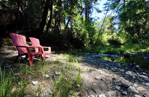 Soquel Cabin | The Coastal Redwood Cabin - Hot tub, private creek! Dog OK!