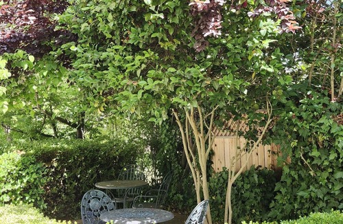 Sutter Creek Apartment | The Hideaway Suite | On Main St., Dog Friendly!