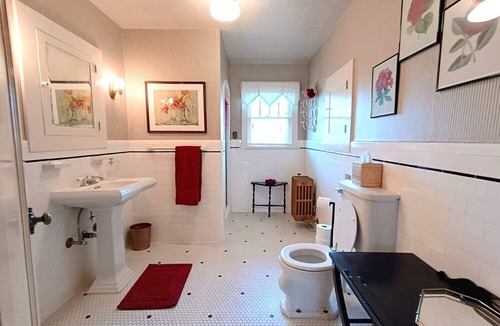 Altamont Bed & Breakfast | The Swan - Celebrating Wildlife Conservation
