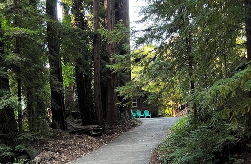 Soquel Cabin | Tiny Art House in the Santa Cruz Mountains