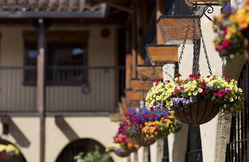 Rutherford Apartment | Top-Rated Boutique Hotel in Napa Valley!