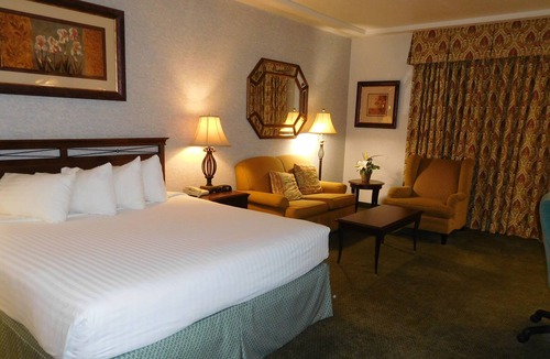 Raisin Hotel | University Square Hotel