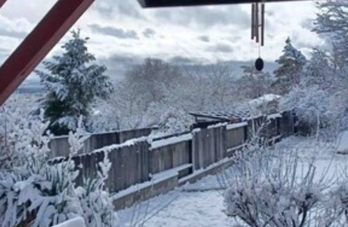 Northeast Reno House | University Terrace 2