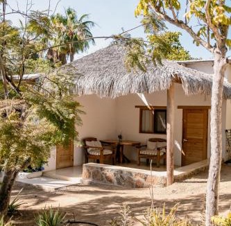 Todos Santos Villa | Villa Gardenia - Oceanfront Casa Arbol w Pool