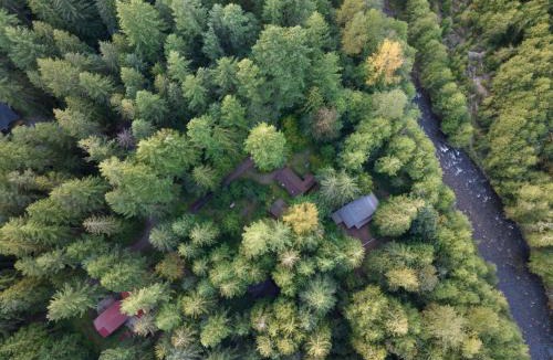 Zigzag House | Whispering Pines - Cabin w hot tub