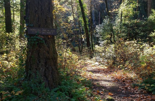 Gasquet House | Who says you need to rough it to explore the outdoors?