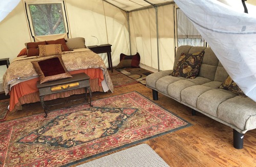 Cave Junction RV Rental | Wildlife, Nature, Glamp #3