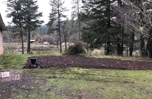 Cave Junction Cottage | Wildlife Preserve, Country Cottage, Spacious
