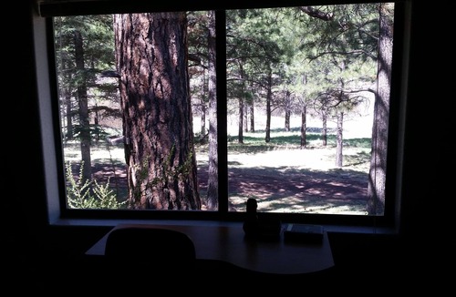 Greer Cabin | Windes' East Fork Retreat: Private, By the river, Bird Watching, Weekly Rate