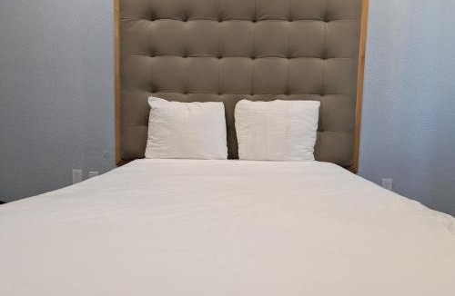 Mid-Market Hotel | Winsor Hotel