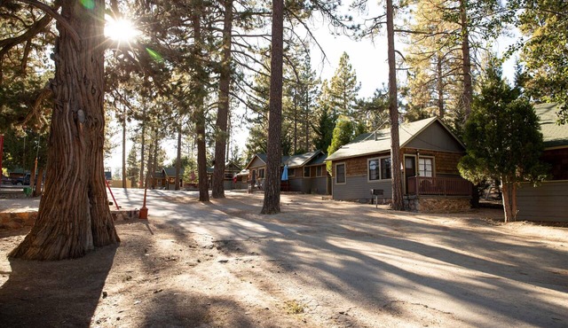 0101-Sunset | 1BR/1BA Big Bear cabin, forest views