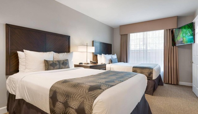 2 Units: Suite w/Full Kitchen: 2.7 Mi to Hiking at Craig Regional Park
