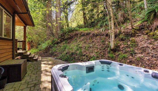 4 King Beds + Hot Tub + Game Room Sleeps 12