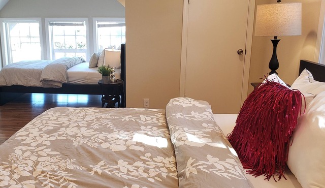 AL4: Dog-friendly 1/1 Near SCU, DT San Jose, SAP