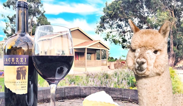 Alpaca Farm, Sonoma Lavender Spa Tub & Wine Bliss