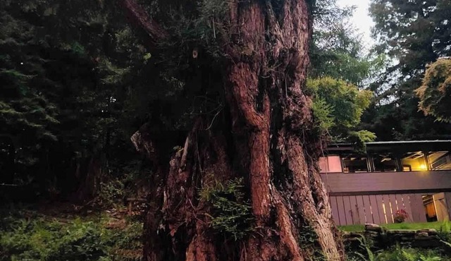 ★ Baywood Redwood Retreat-7Bd/Luxury/Rejuvenate