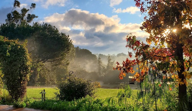 Bella Casita-A Quiet Gem Near Wine Country