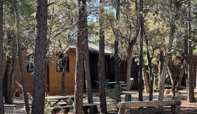 Cabin 3 No Hot Tub