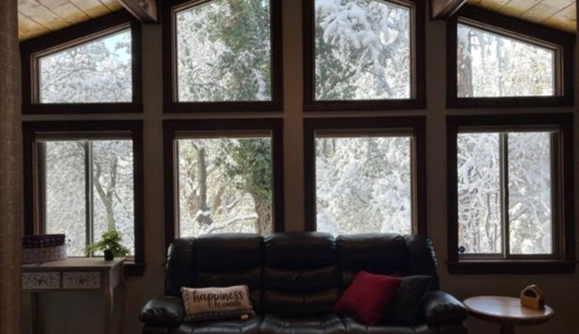 Cabin in the Ponderosa Pines