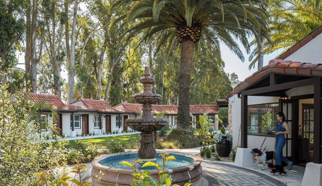Casia Inn