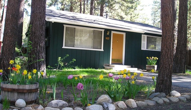 COMFORTABLE HOME NEAR THE LAKE AND SKIING