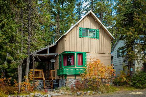 Cozy Mountain Cabin with Full Kitchen - Close to Town Skiing & Hiking Trails