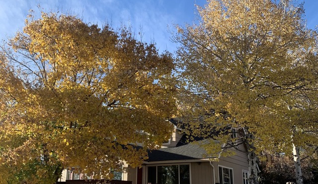 Cozy, peaceful getaway - less than 5 min from downtown Klamath