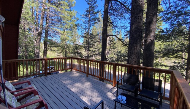 Cozy Tahoe Cabin Nestled in the Forest - Next to Mountain Trails & Sledding Hills - Close to Heavenly