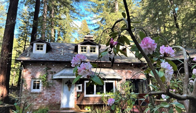 Creekside Vacation Villa, FirePit, Gazebo,Patio, Santa Cruz Downtown & Beach