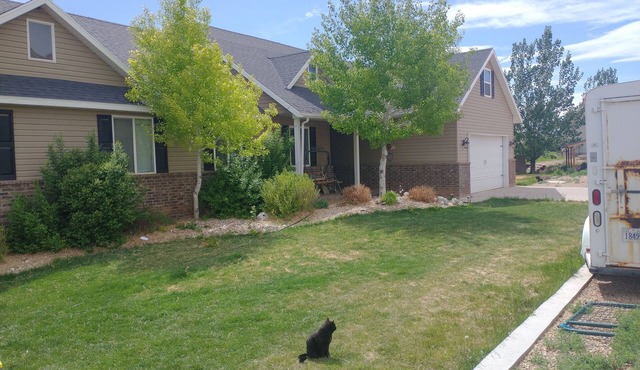 DELIGHTFUL FARM STAY WITH ANIMALS