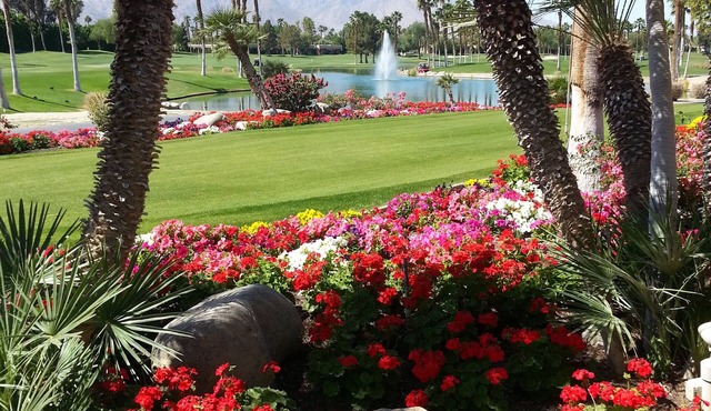 DESERT Princess! Dual Master 2bdrm Condo - OPEN off-season-SEPT, OCT, NOV, DEC