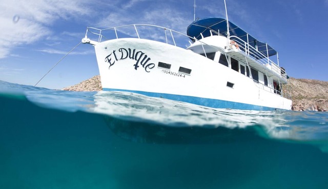 El Duque Adventures In The Sea Of Cortez And Beyond