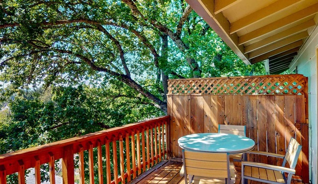 Full duplex with patio-deck, mountain views, washer&dryer, dogs allowed